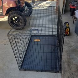 Kennel