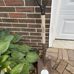 AMES (contact info removed) Tempered Steel Garden Spade with Hardwood Handle and D-Grip, 43-Inch