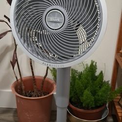 Shark FlexBreeze Indoor/Outdoor Cordless Fan w/ Car Charger