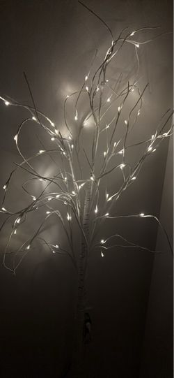 Lit up tree branches