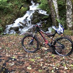 Specialized stump jumper