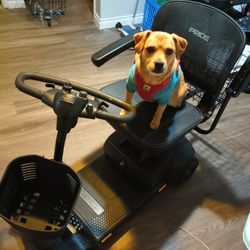 One Month Old Mobility Scooter Pride Go Go 