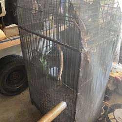 Bird Cages 