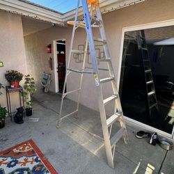 8 Ft. Ladder