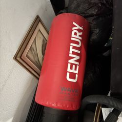 Punching bag