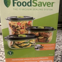 Food Saver Container 