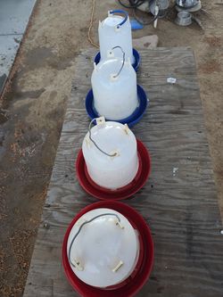 Poultry water 💧 drinkers