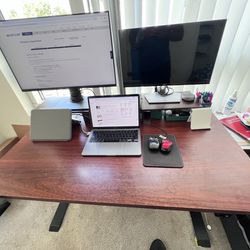 Adjustable Standing Desk- Electric
