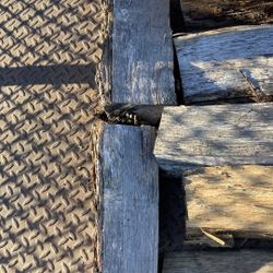 Oak And Maple Hand Cut Firewood 