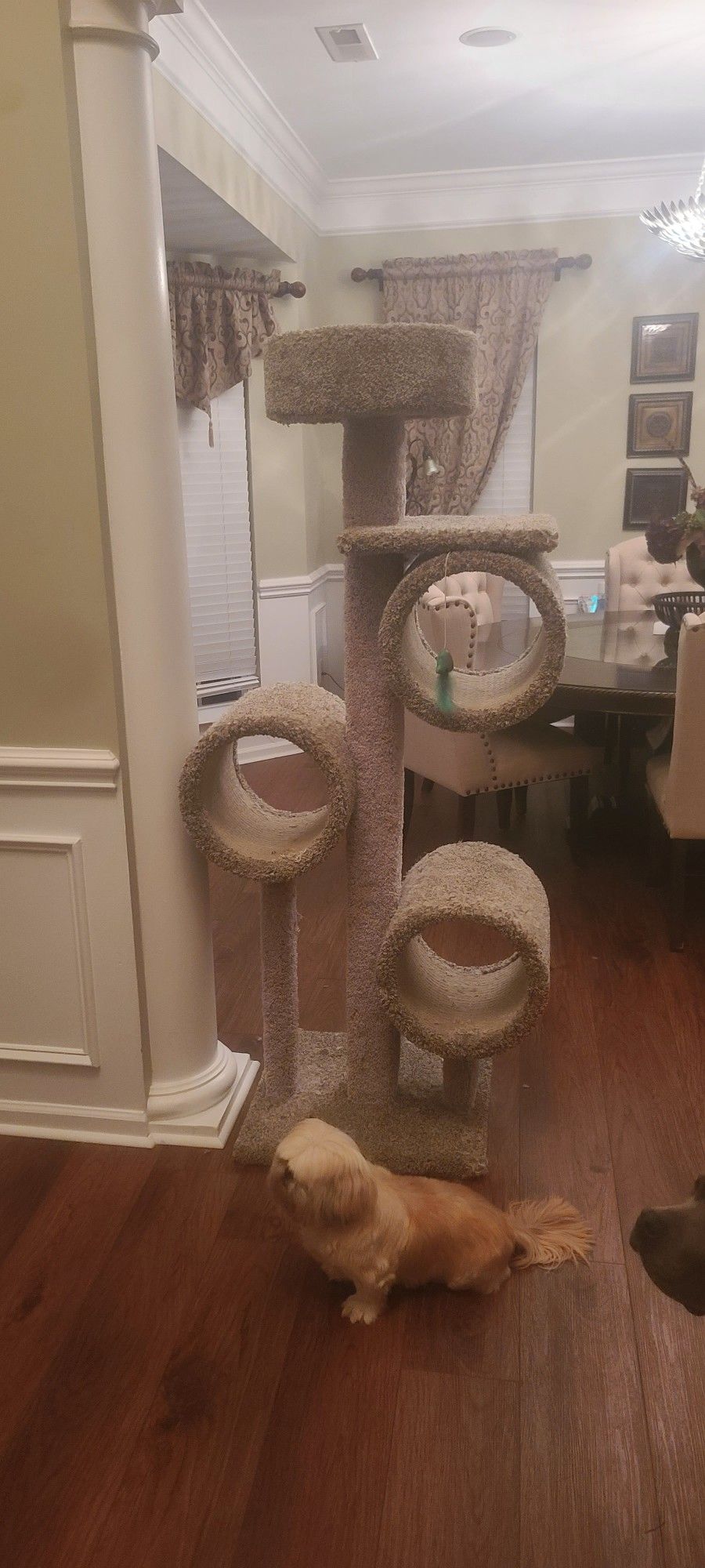 Cat Tree