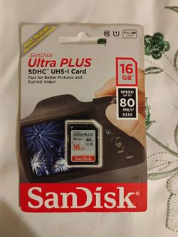 SanDisk Ultra Plus 16 GB Flash Memory 