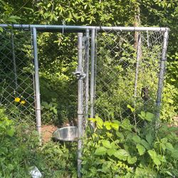 Dog Kennel 