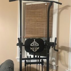 Sportsroyals Power Tower Pull Up Dip Station