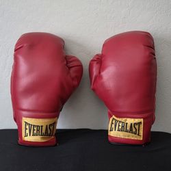 Everlast Boxing Gloves