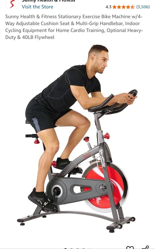 Sunny Exercise Bike
