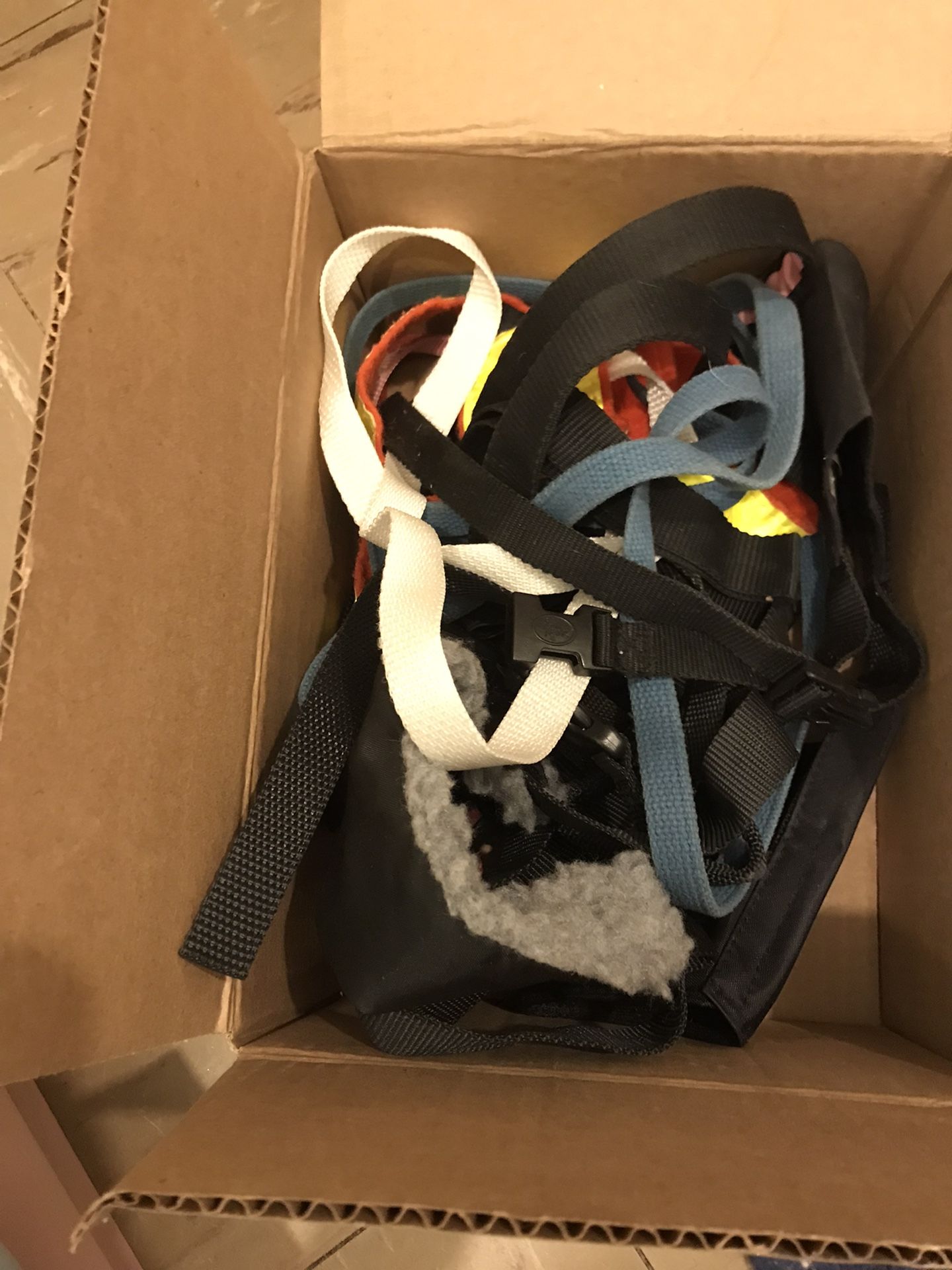 Assortment Of Dog Items