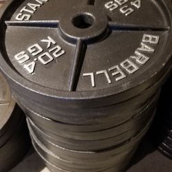45 Lb Olympic Weights 2 Inch Hole Weights 