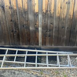 2 Ladders