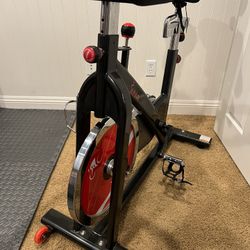 Sunny  Stationary Bike