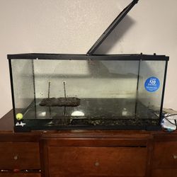 Turtles/Aquatic Tank
