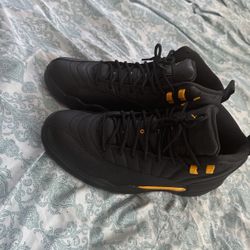 Jordan 12