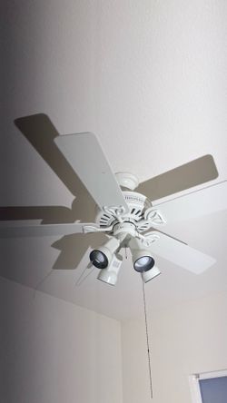 Ceiling Fan