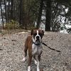 Oscar