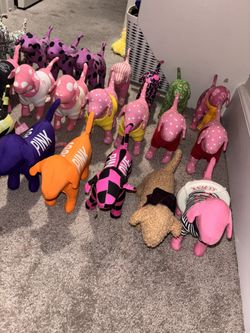 Victoria’s Secret PINK Dogs