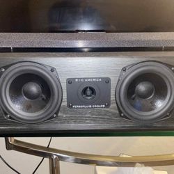 BIC America Center Speaker
