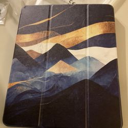 iPad Pro 13 In. Cases