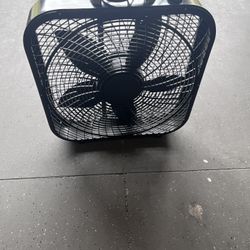 Fan 
