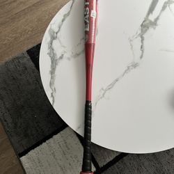 Easton Quantum Baseball Bat 
