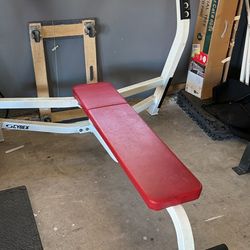 Cybex bench press