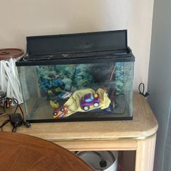 Fish Tank