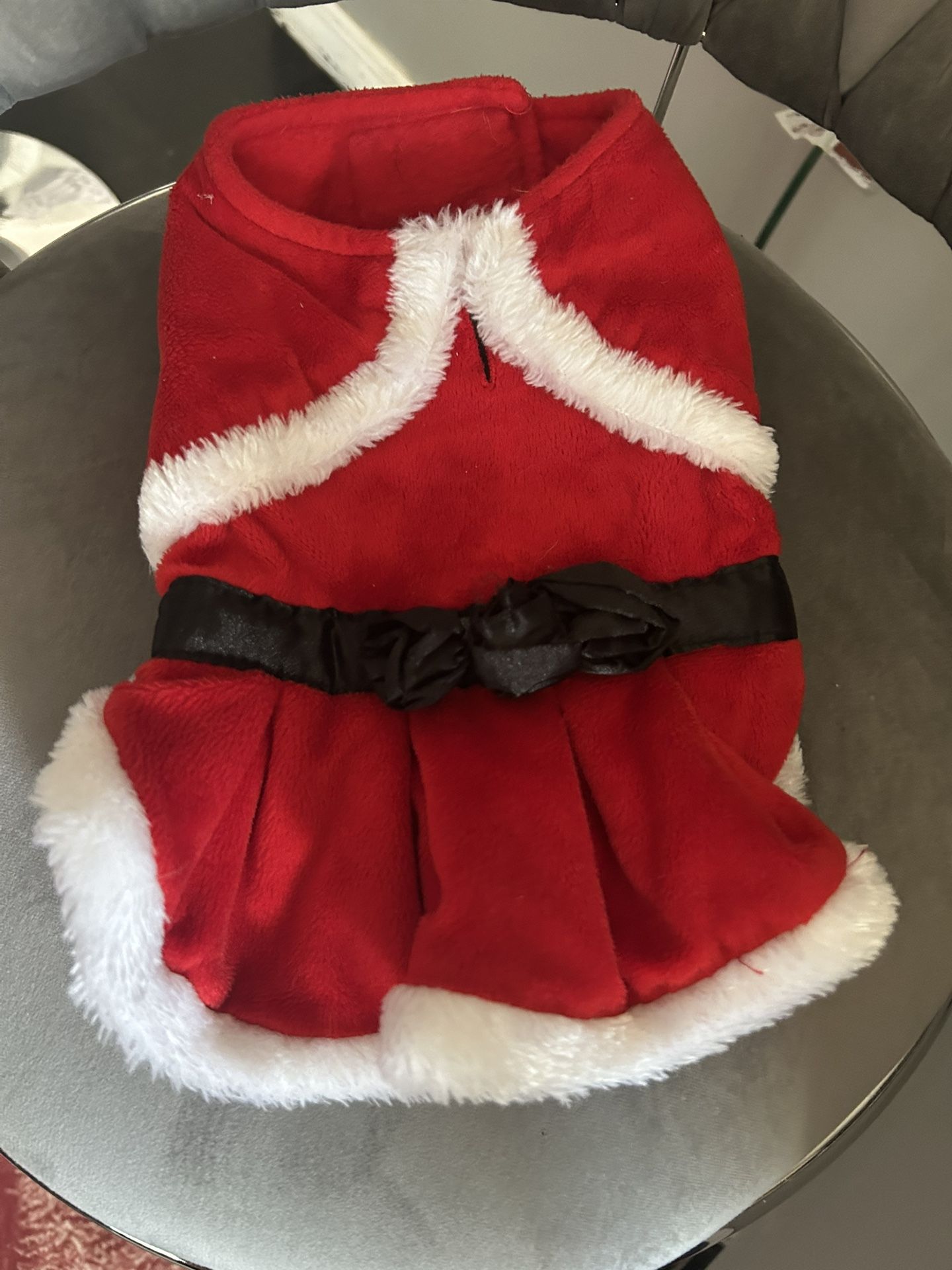 Dog. Christmas Outfit