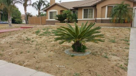 Istalacion de esprinklers sacate reparasion de esprinklers valbulas