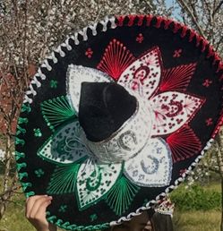 Quinceañera vestido y paquete completo