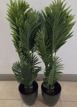 *** NEW LOW PRICE *** PAIR of 50in Faux Golden Cane Palms in 11in (Tall) Green Planters (2 for $80) @ Lasting Creations