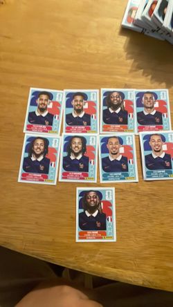 France panini sticker team