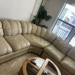 Real Leather Curve Couch 