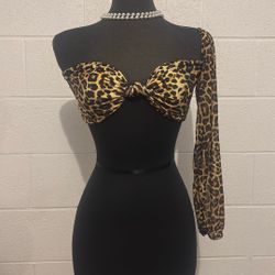 Cheetah Bandeu 