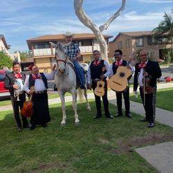 Guitarra De Mariachi 