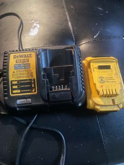Dewalt 20v battery and charger