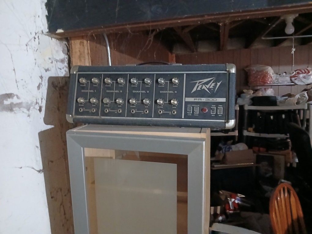Peavey 300