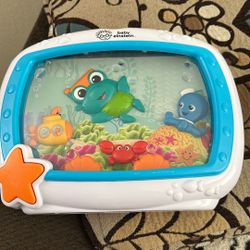 Baby Einstein Toy 