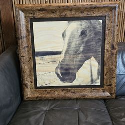 Western Horse Picture 