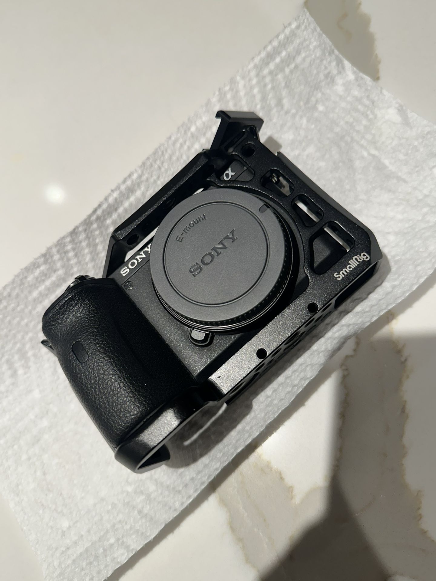Sony A6600