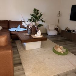 Living Room Table And Rug For Sell