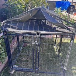 Outside dog kennel & dog beds