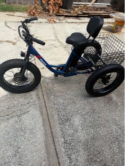 Tricycle E Bike